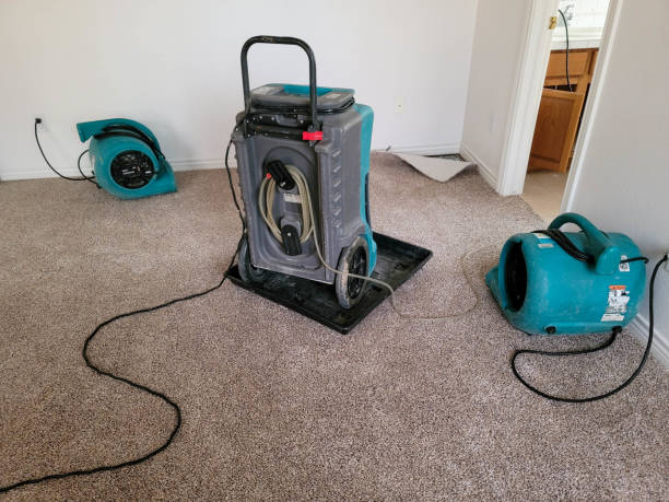Best Flood restoration services  in Hawthorne, NJ