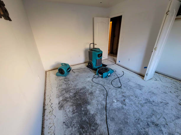 Best Fire Damage Restoration  in Hawthorne, NJ