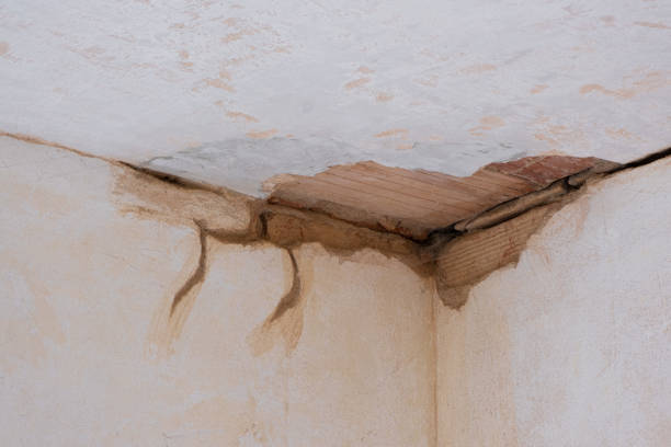 Best Commercial water damage restoration  in Hawthorne, NJ